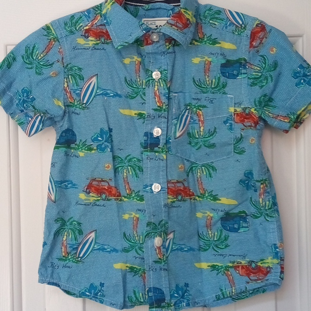 Island button down
